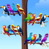 Bird Sort - カラーパズル