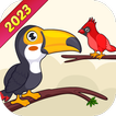 Bird Color Sort Puzzle icon