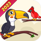 Bird Color Sort Puzzle ikona