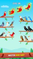Bird Color Sort Puzzle plakat