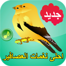 أحلى نغمات الطيور و العصافير بدون انترنت APK