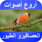 أروع أصوات العصافير و الطيور بدون نت icono
