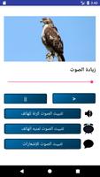 أروع أصوات العصافير و الطيور بدون نت স্ক্রিনশট 2