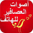 رنات العصافيرو الطيور بدون نت APK