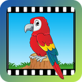 ”Video Touch - Birds
