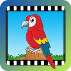 Video Touch - Vogels-icoon