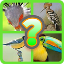 4 фотки 1 слово на русском APK