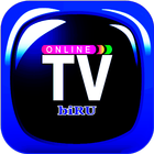 آیکون‌ TV Indonesia live - TV Malaysia TV Singapore