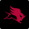 Meritor India Rewards