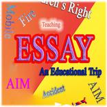 EssayGuides