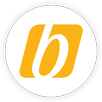 bitBirds Solutions APK