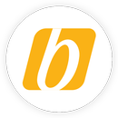 APK bitBirds Solutions