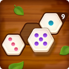 Number Puzzle Hexa-icoon