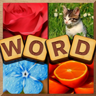 4 Pics Puzzle: Guess 1 Word ikon