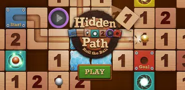 Roll the Ball: Hidden Path