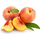 APK آموزش نرم افزار حسابداری هلو
