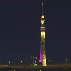 Скачать Tokyo Skytree Live Wallpaper APK