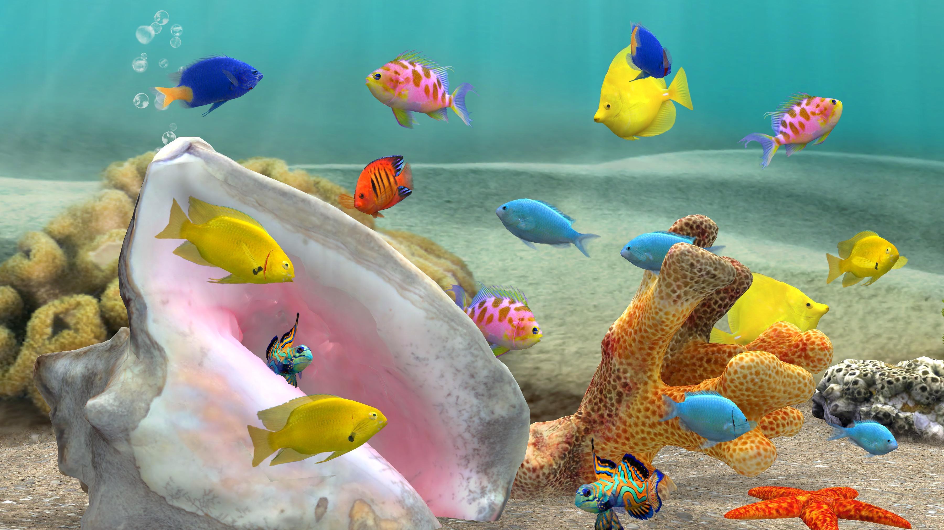 Рыбки аквариум обои. Живой аквариум. Живые рыбки. Рыбки для аквариума. Аквариум 3д.