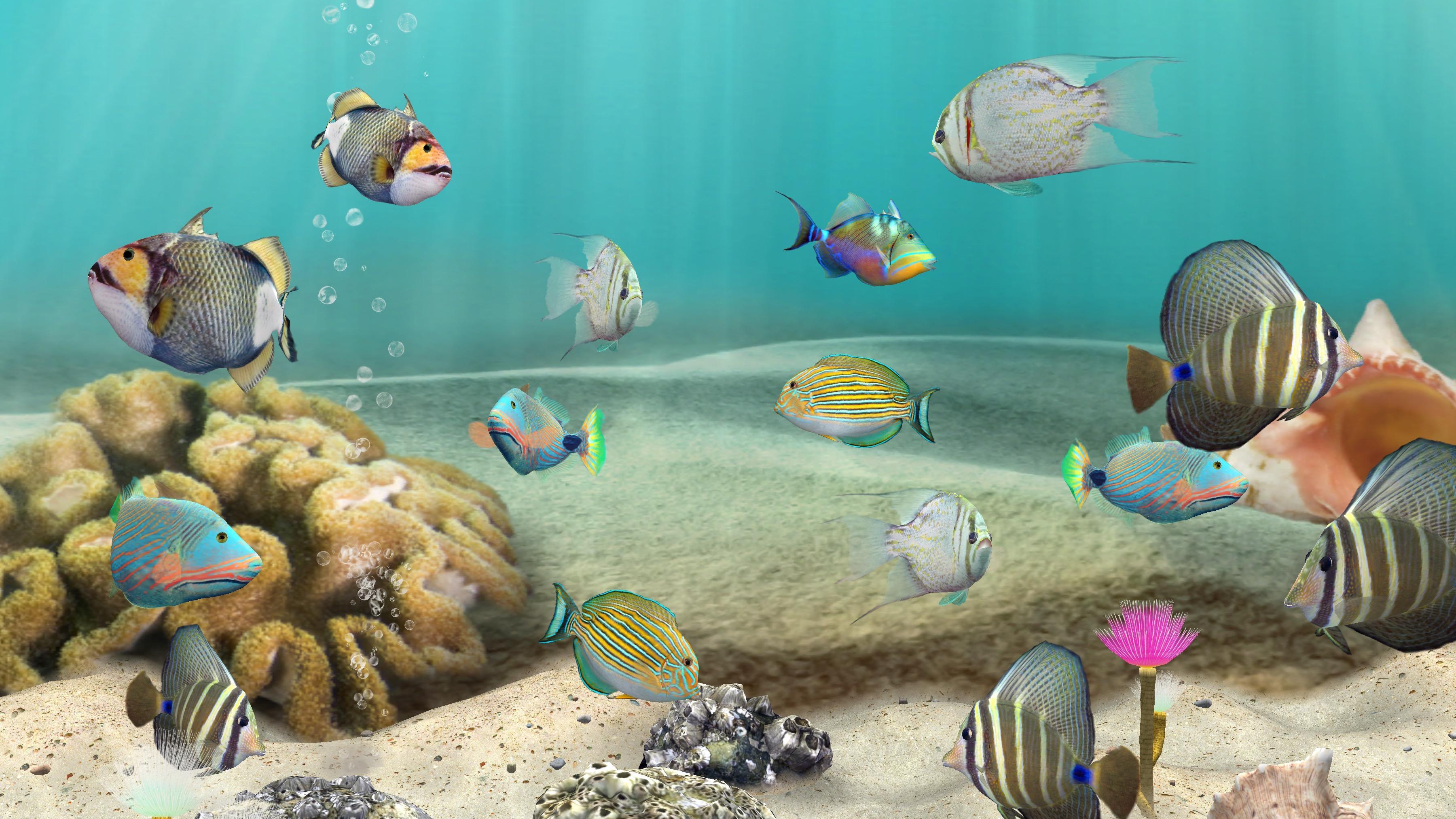 Рыбки аквариум обои. Живые рыбки. Аквариум 3д. Живой аквариум. Заставка аквариум.