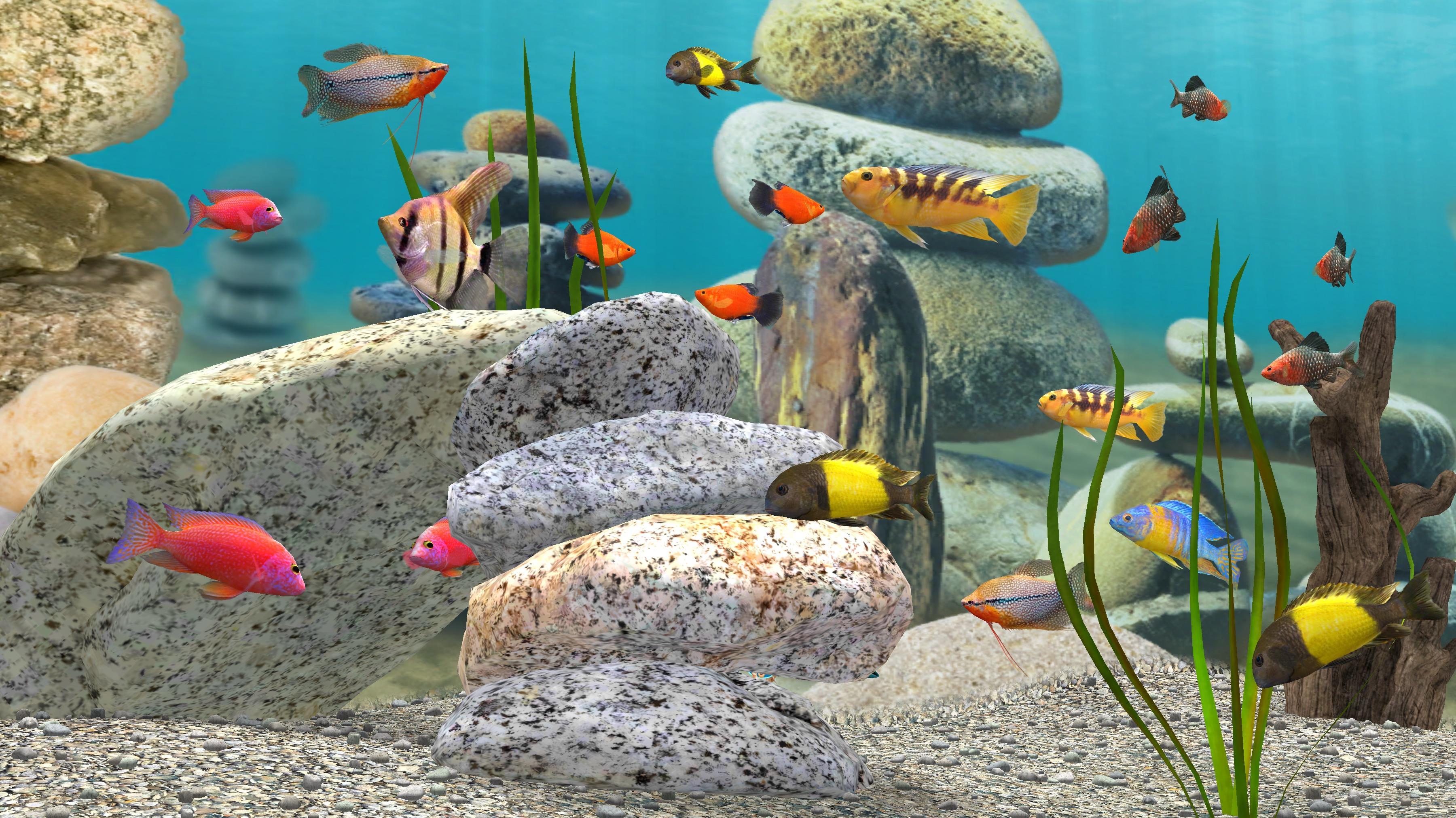 Android 用の Fish Farm 3 3d Aquarium Live Wallpaper Apk をダウンロード