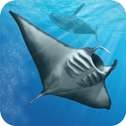 Ocean Dream icon