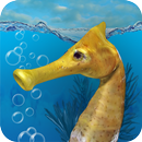 Seahorse 3D APK