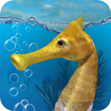 🔥 Download Fish Farm 3 - 3D Aquarium Simulator 1.6.7180 APK . Feed and grow  fish in the aquarium 