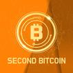 Second Bitcoin