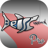 Beissindex Pro Angeln
