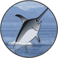 Fish frenzy