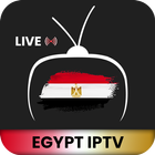 Egypt Live TV Channels icône