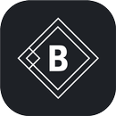 BitLogg - Profissional APK