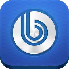 BitrixAdmin APK 下載