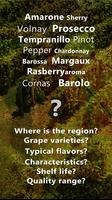 Wine Profiles 截圖 2