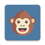 Coding Monkey - Learn Programm
