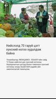 Шимт ногоо screenshot 2