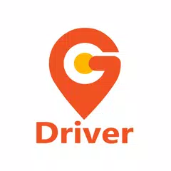 BitCar Driver