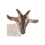 My Goat Manager icono