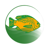 My Fish Manager - Farming app