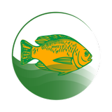 My Fish Manager icono