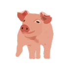 My Piggery Manager icon