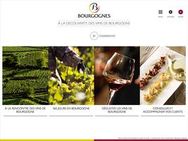Les vins de Bourgogne capture d'écran 1