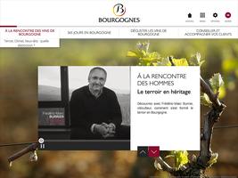 Les vins de Bourgogne capture d'écran 3