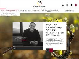 ブルゴーニュ/Bourgogneワインの発見 ภาพหน้าจอ 3