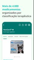 Vet Smart Cães e Gatos پوسٹر