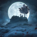 ”Moon Wallpapers