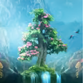 Nature wallpapers