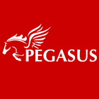 Pegasus Micro أيقونة