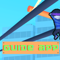 Guide App For Roof Rail 2021