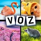 4 Imagens 1 Voz biểu tượng